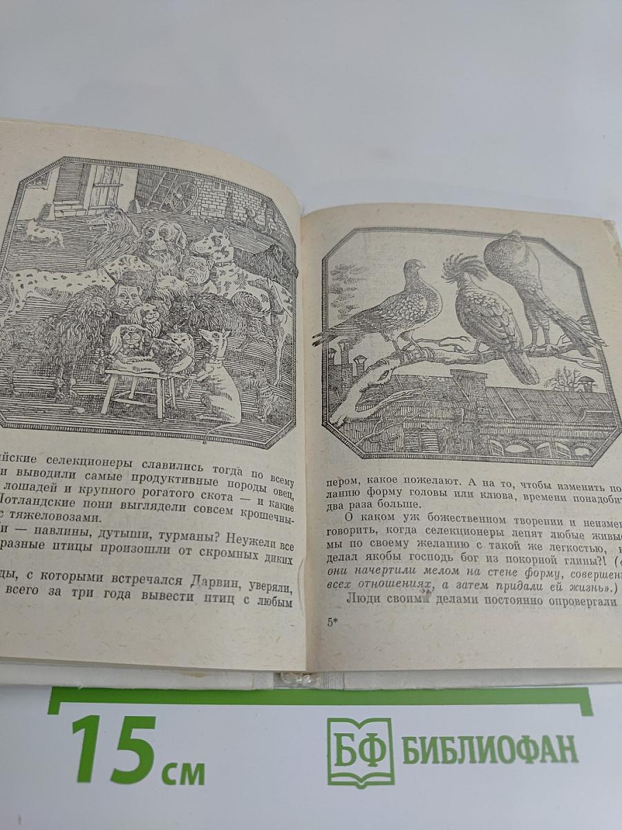 Всколыхнувший мир