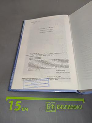 Хранитель мечей. Одиночество мага. Том первый