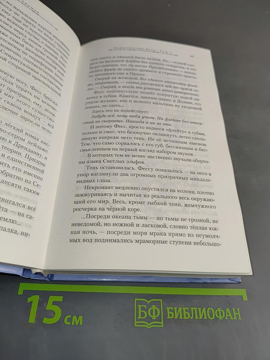 Хранитель мечей. Одиночество мага. Том первый
