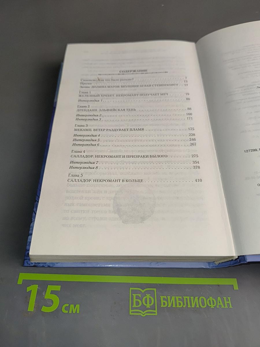 Хранитель мечей. Одиночество мага. Том первый