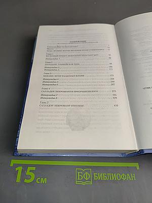 Хранитель мечей. Одиночество мага. Том первый