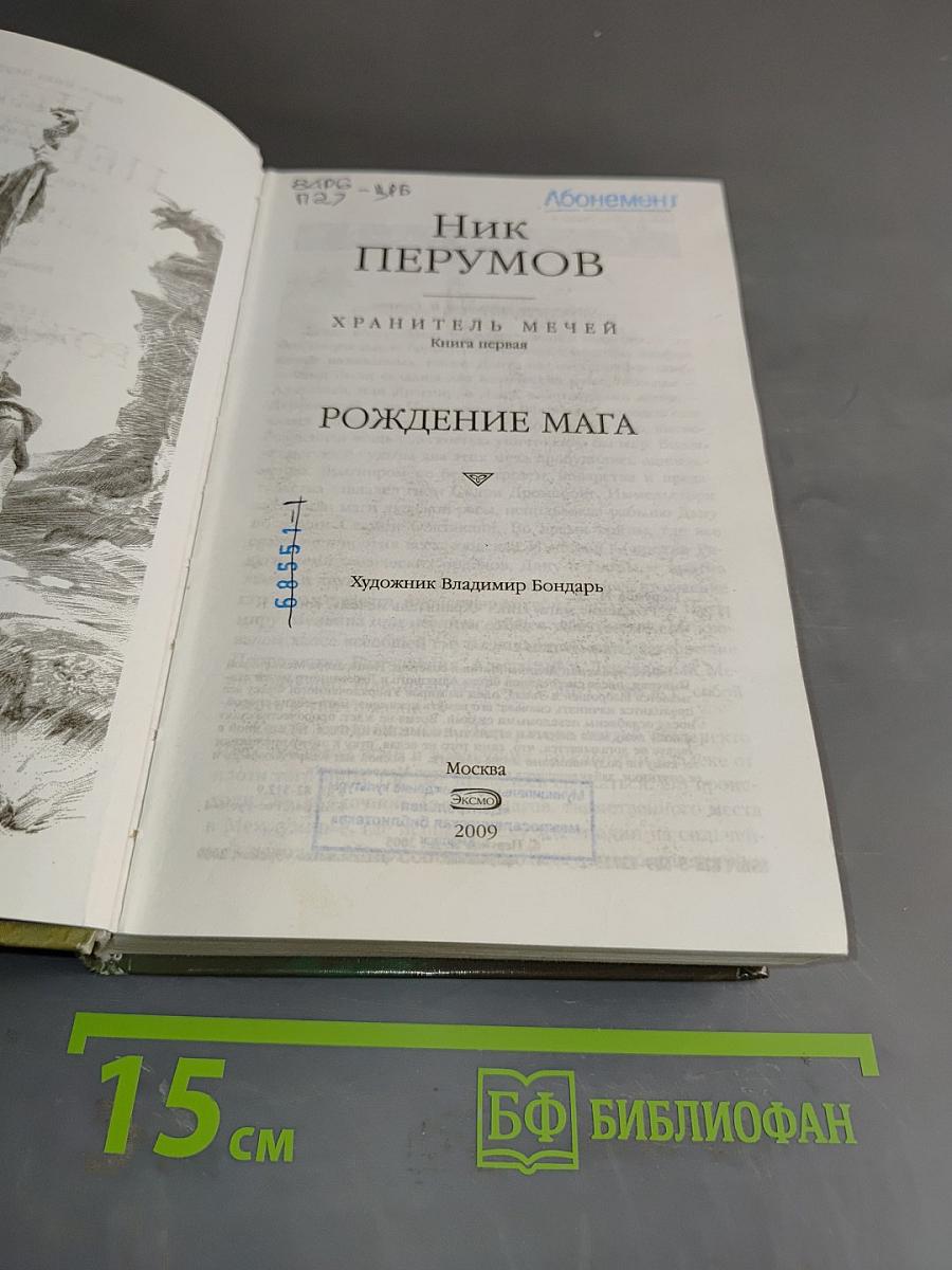 Рождение мага. Хранитель мечей. Книга 1