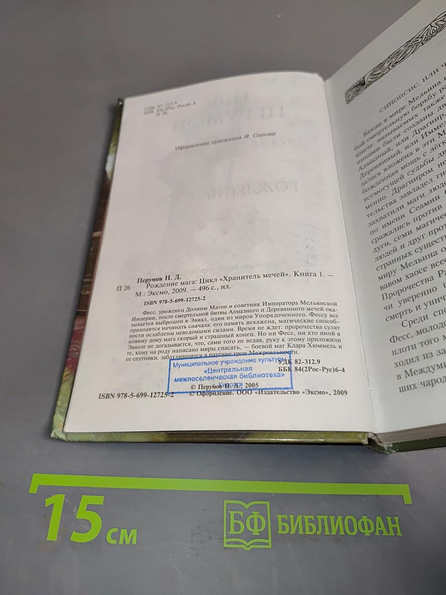 Рождение мага. Хранитель мечей. Книга 1