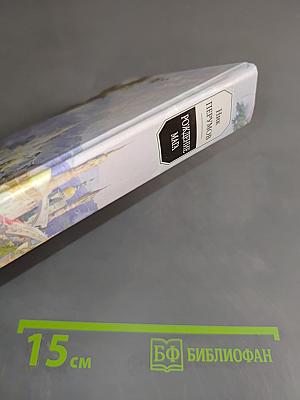Рождение мага. Хранитель мечей. Книга 1