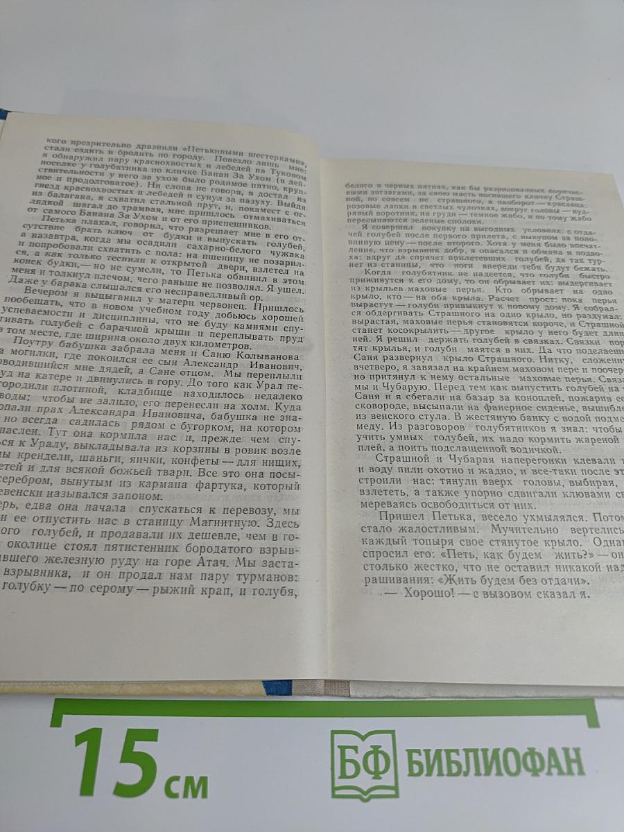 Голубиная охота