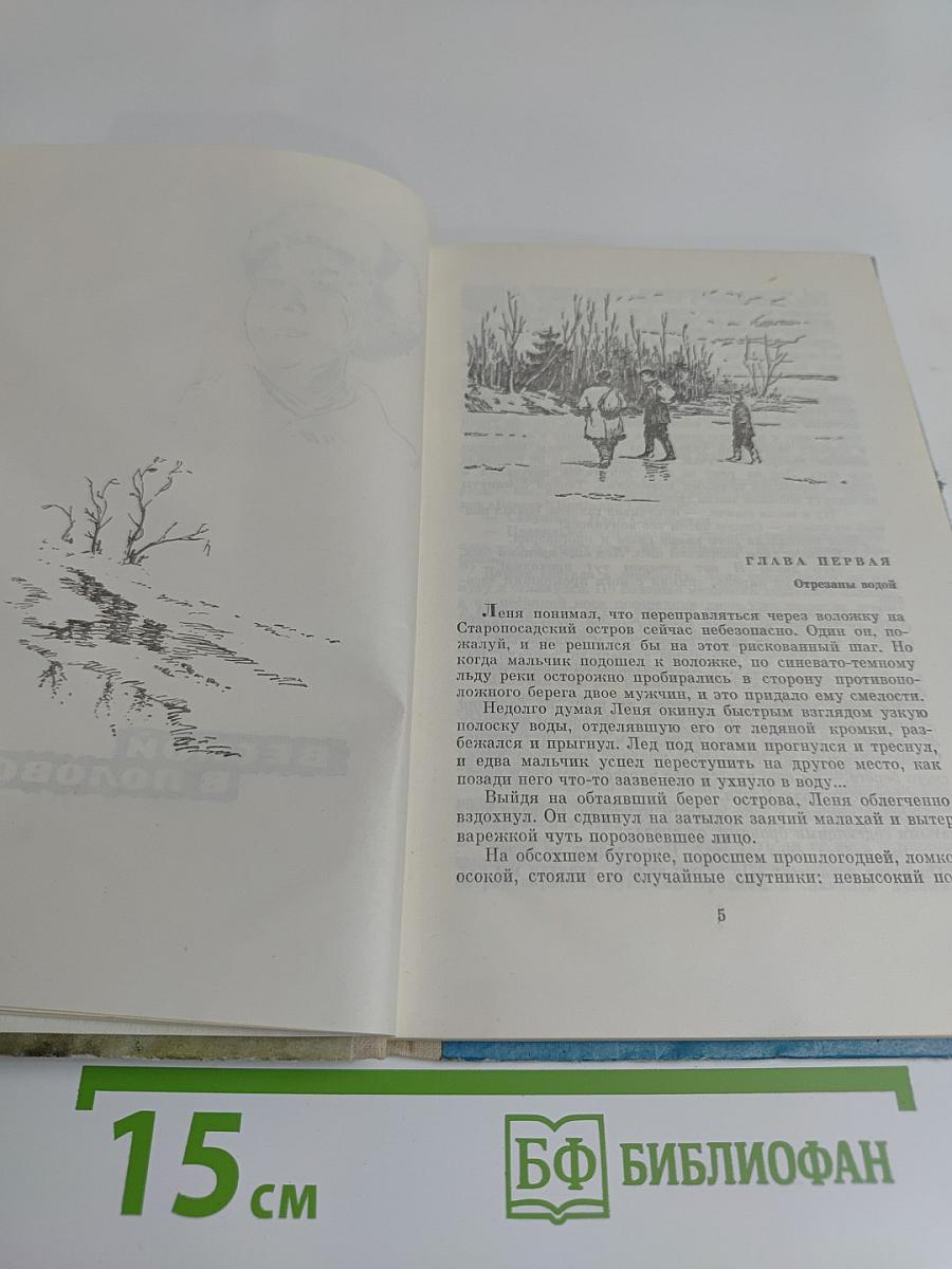 Весной в половодье. Мачеха. Повести