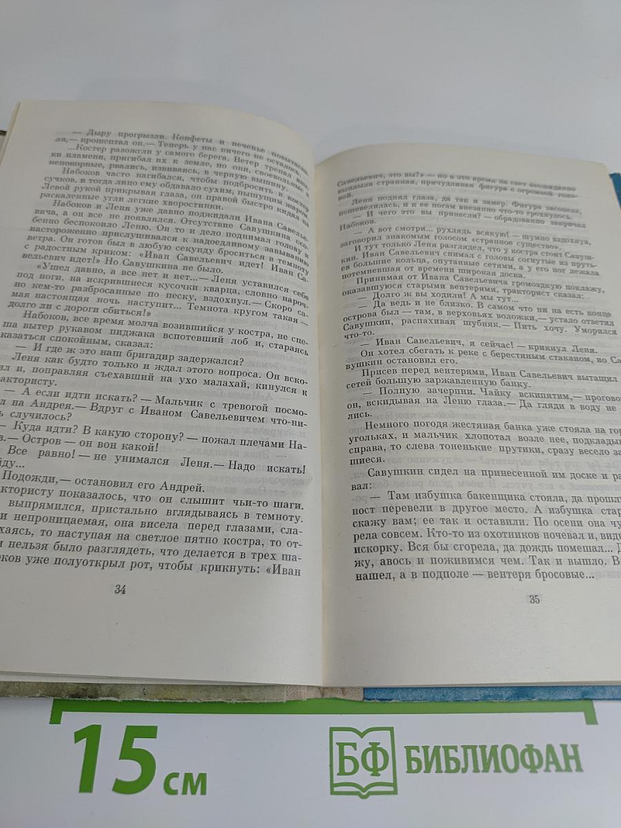 Весной в половодье. Мачеха. Повести