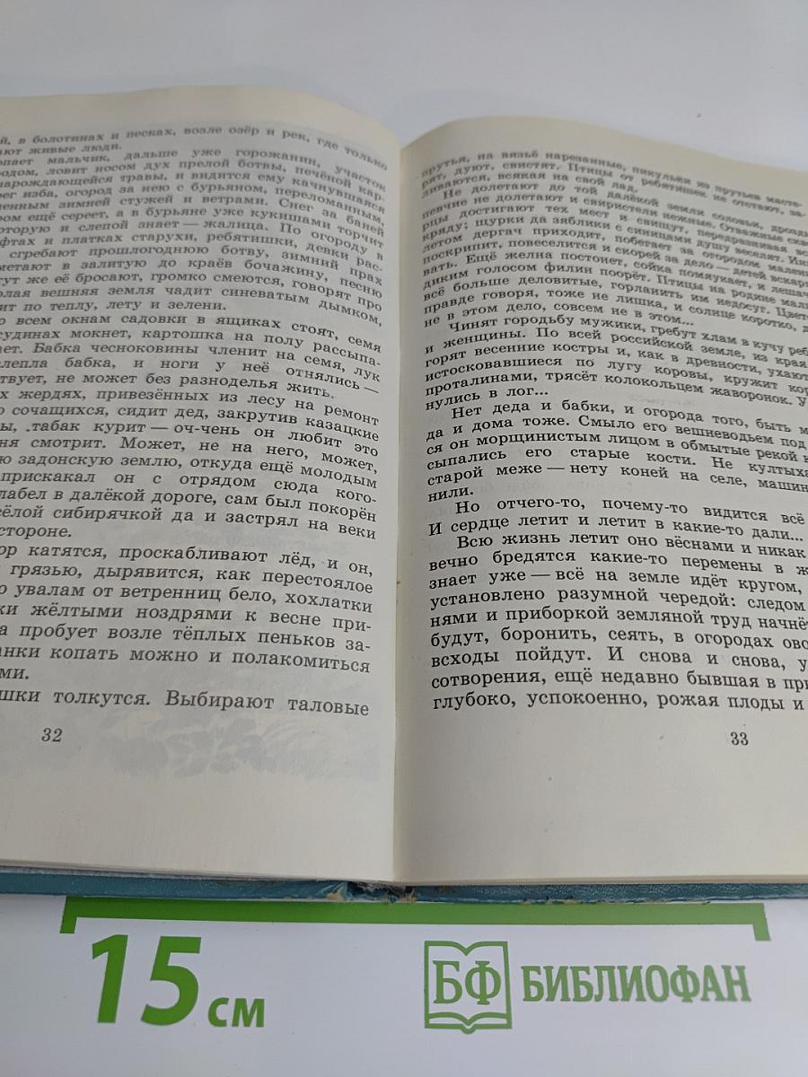 Медведи идут следом