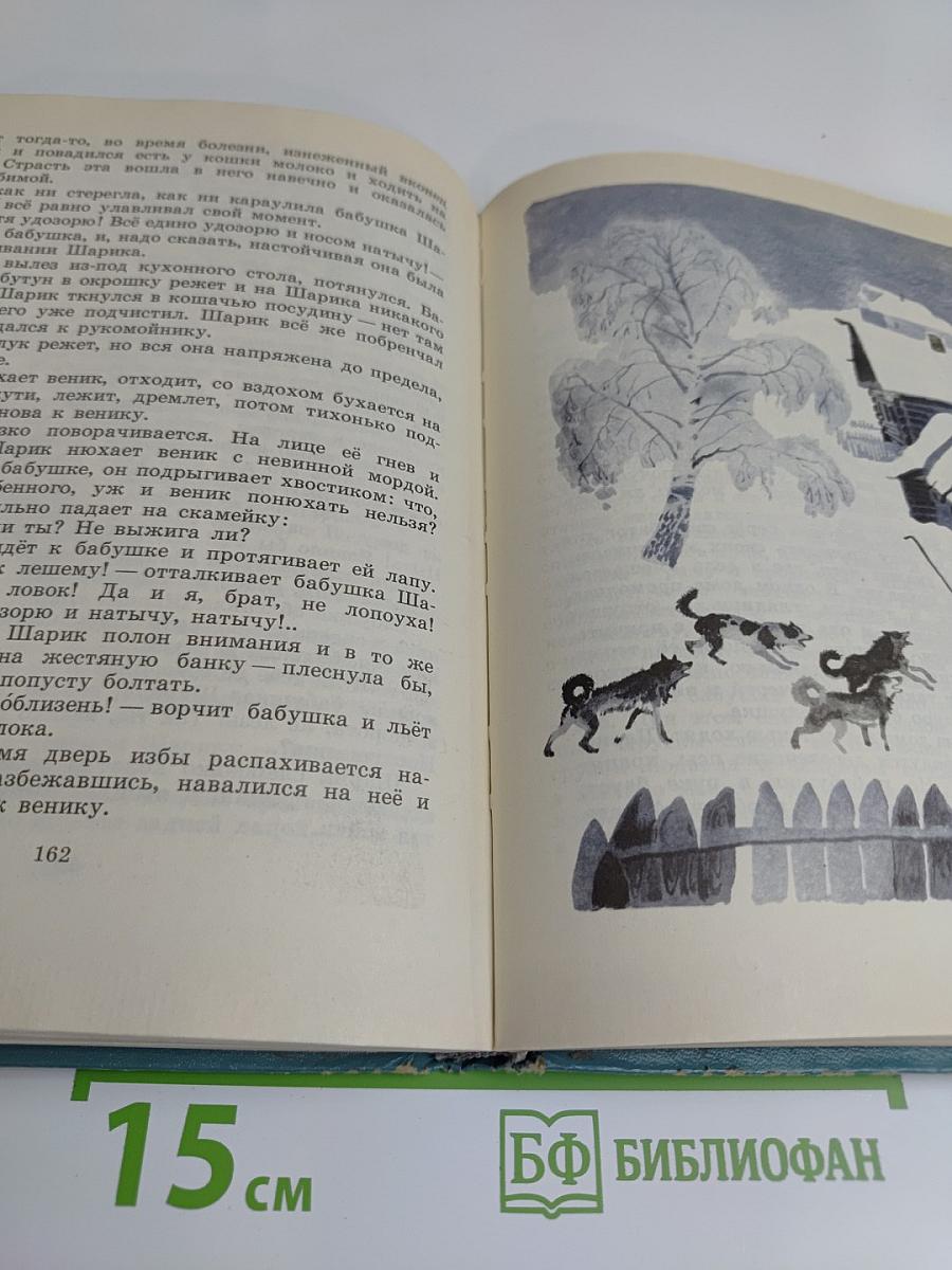 Медведи идут следом
