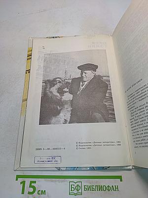 Карусели над городом