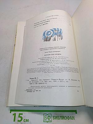 Карусели над городом