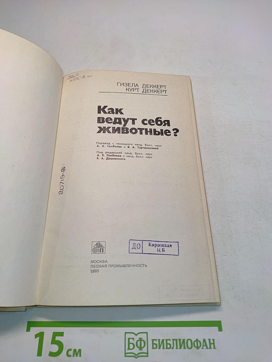 Как ведут себя животные?