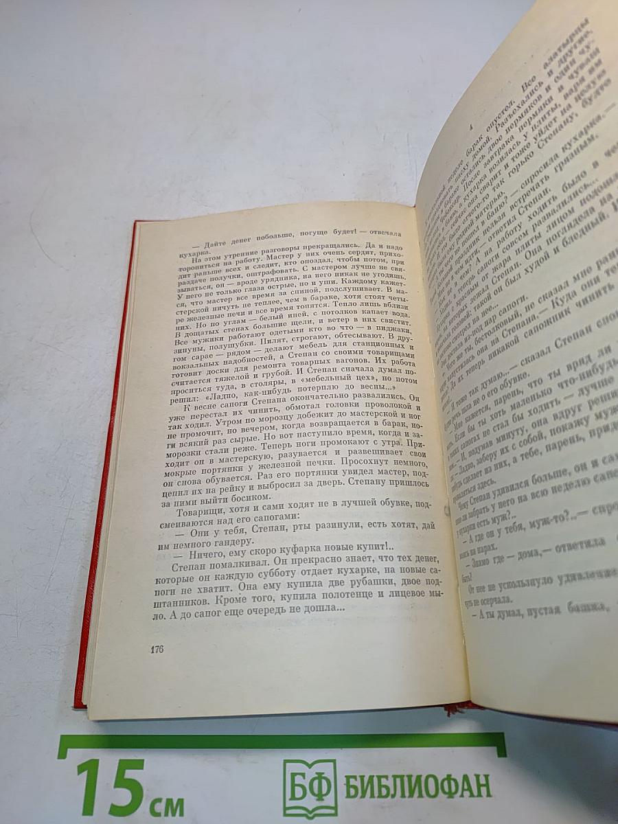 Сын эрзянский. Роман. Книга вторая