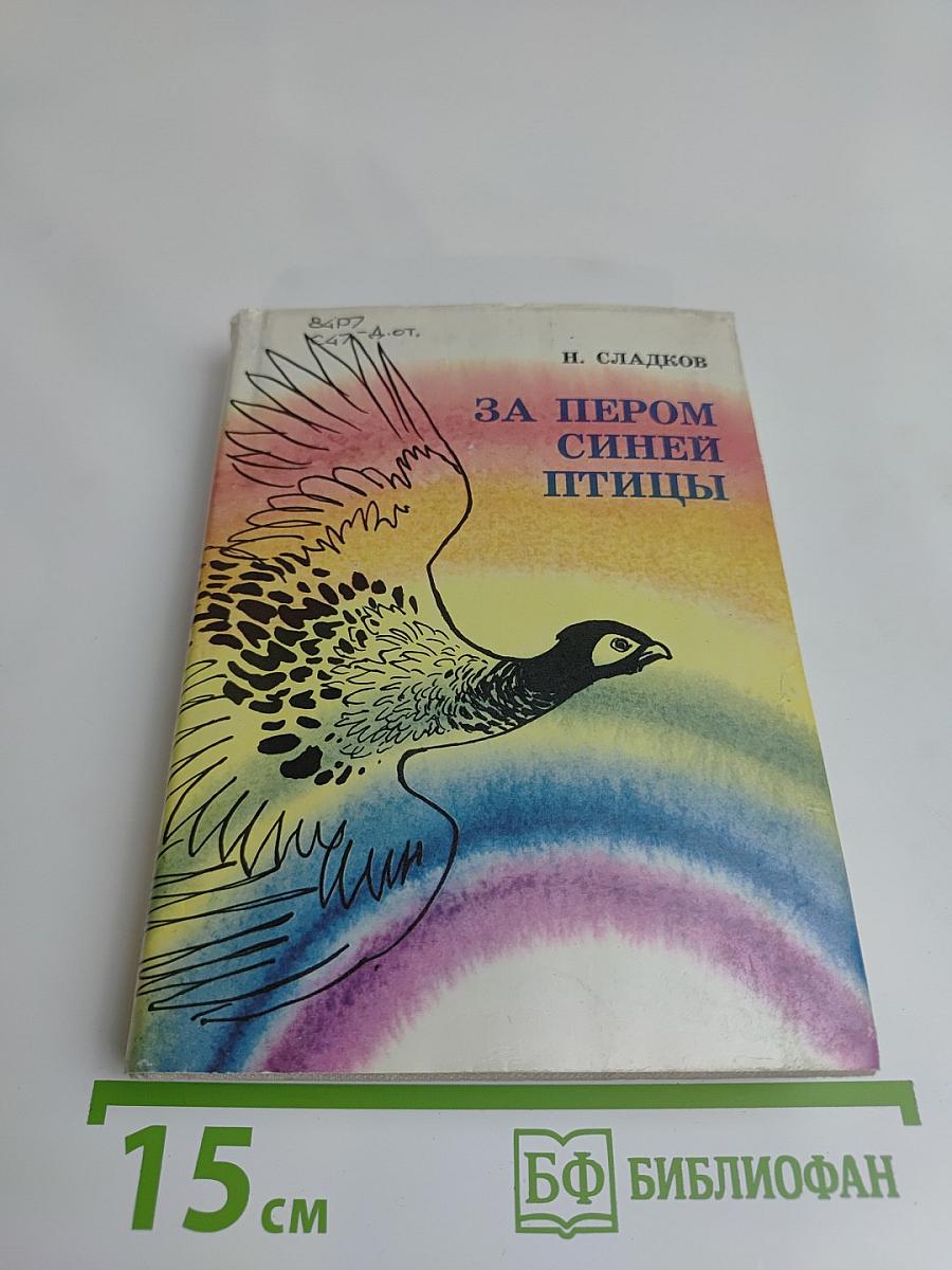 За пером синей птицы