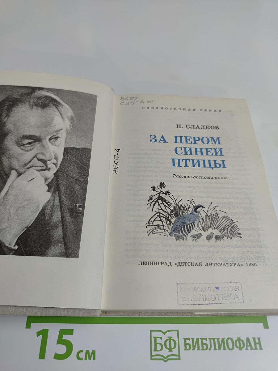 За пером синей птицы