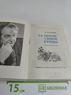 За пером синей птицы