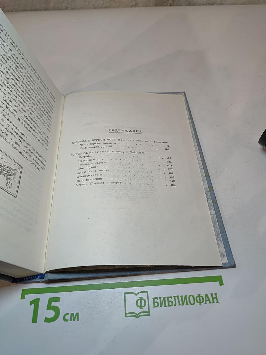 Девочка в бурном море. Повесть. Ястребки. Рассказы. Том 2