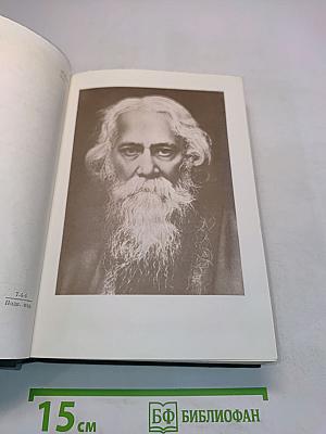 Стихотворения. Рассказы. Гора