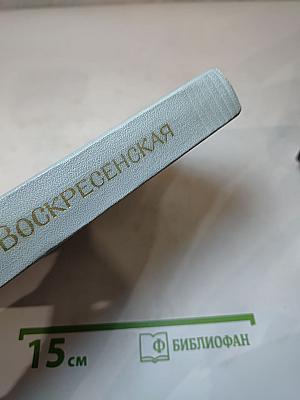 Девочка в бурном море. Повесть. Ястребки. Рассказы. Том 2