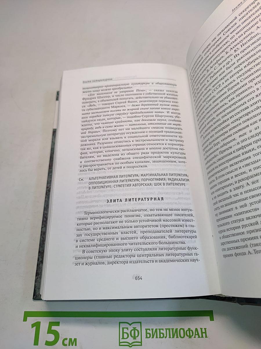 Русская литература сегодня: Жизнь по понятиям