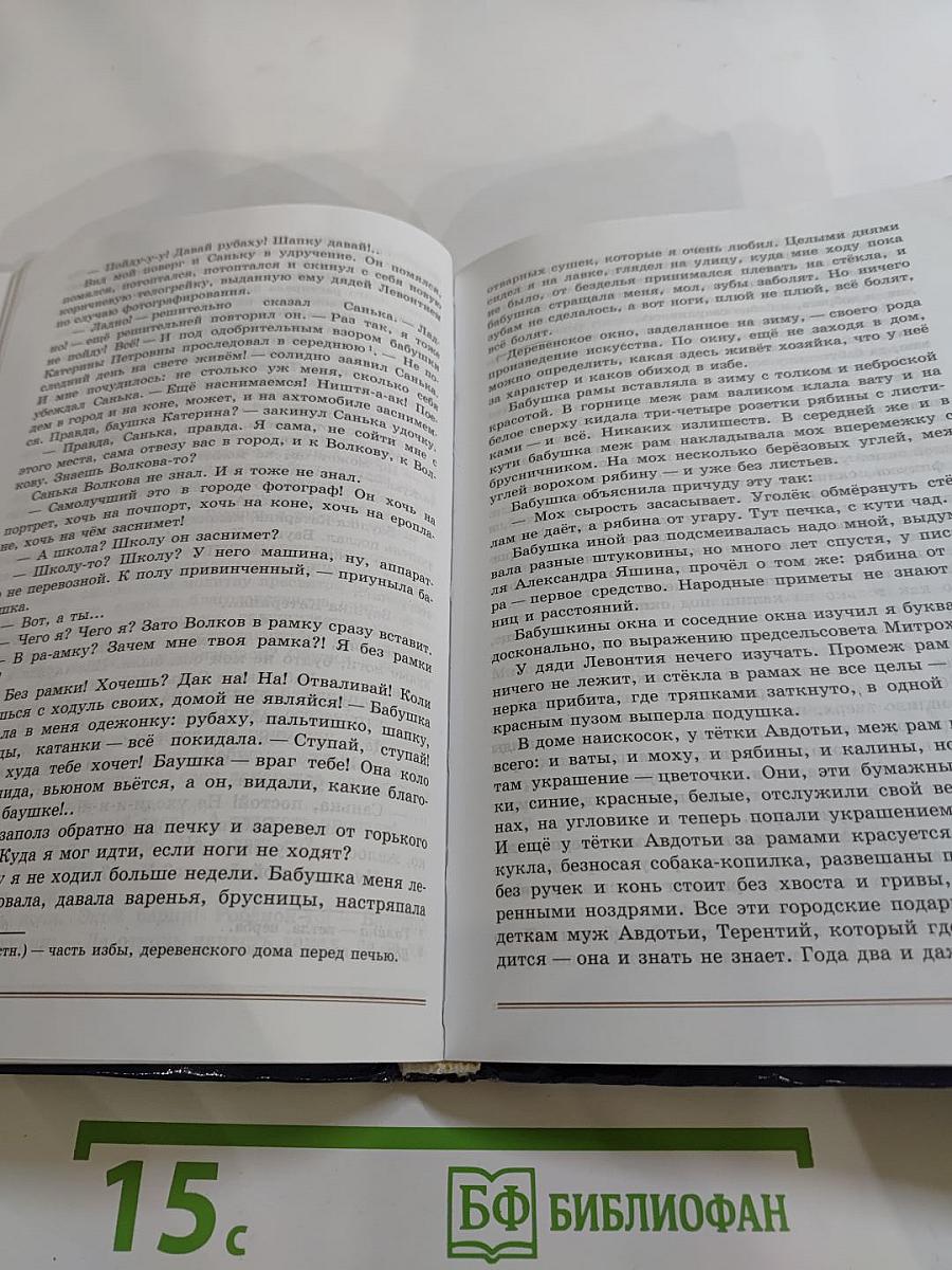 Литература. 8 класс. Часть 2