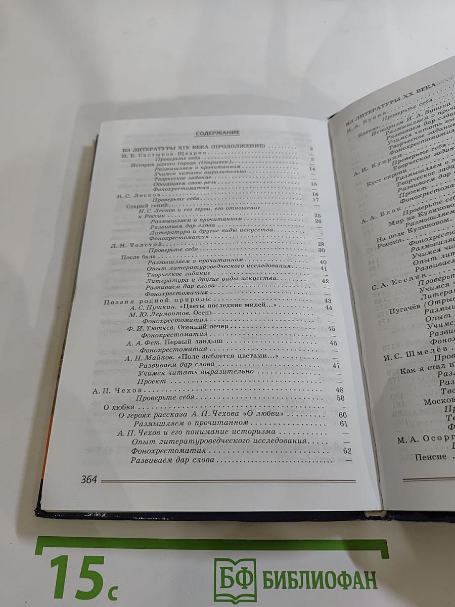 Литература. 8 класс. Часть 2