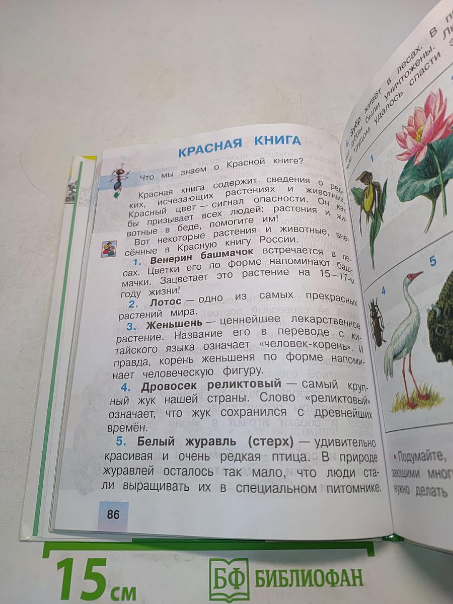 Окружающий мир. 2 класс. Часть 1