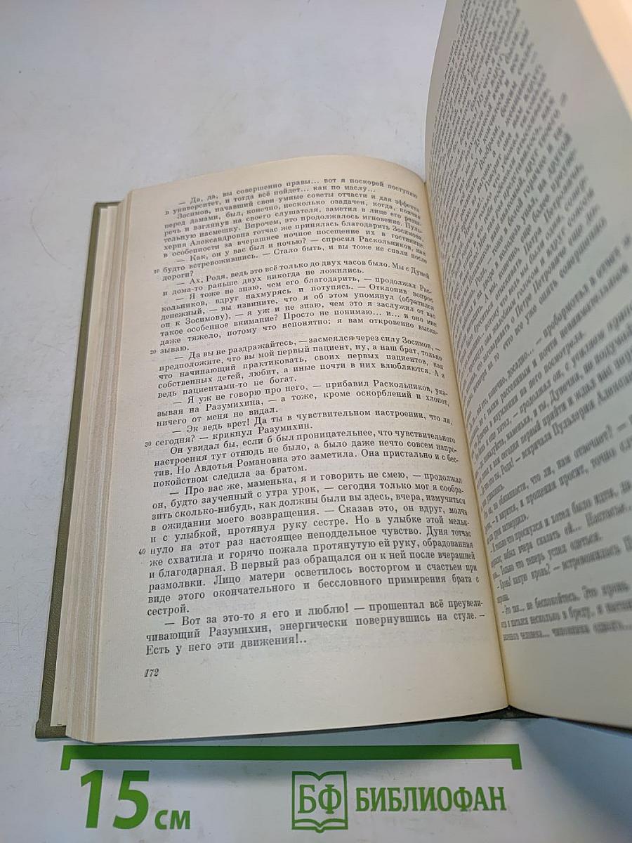 Преступление и наказание. Том шестой