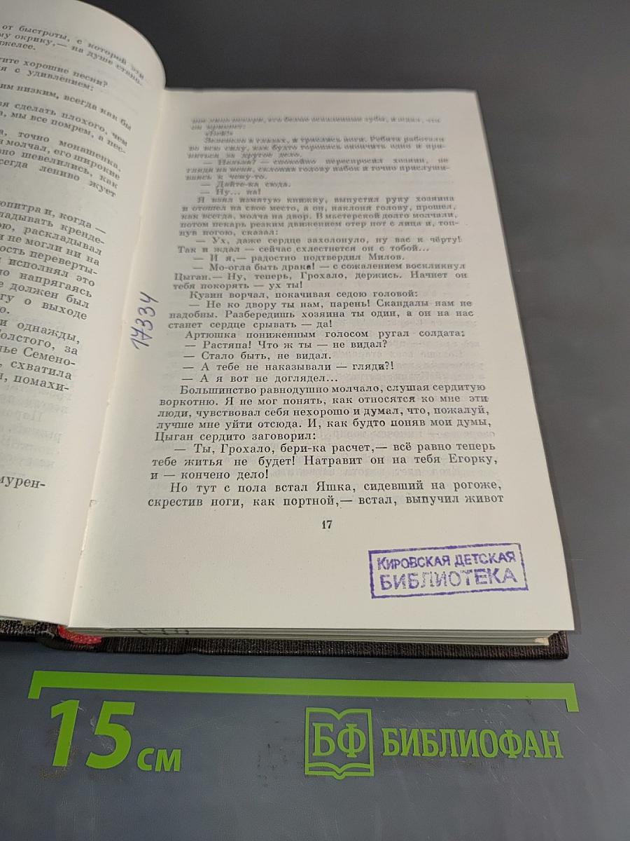 Собрание сочинений в тридцати томах. Том четырнадцатый. Повести. Рассказы. 1912–1917