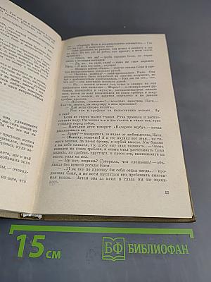 Барсуки