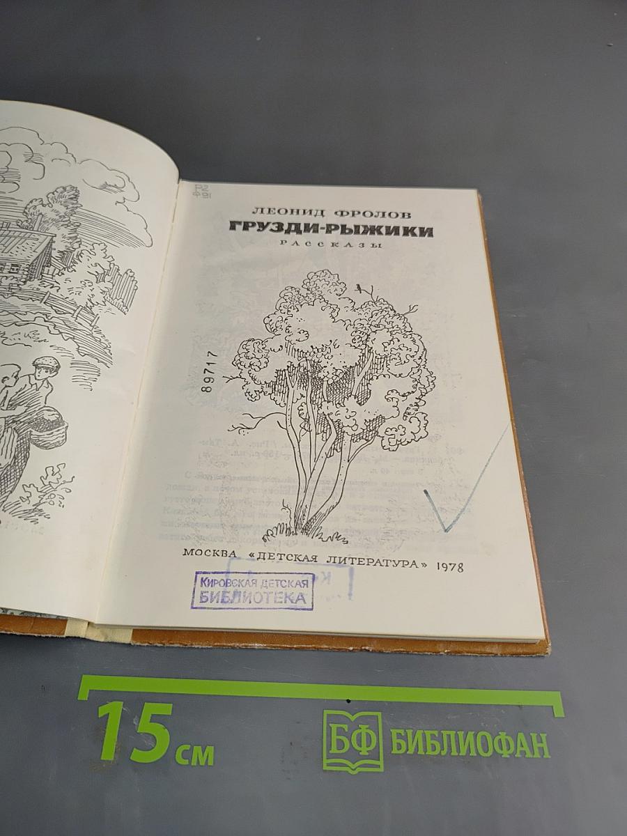 Грузди-рыжики