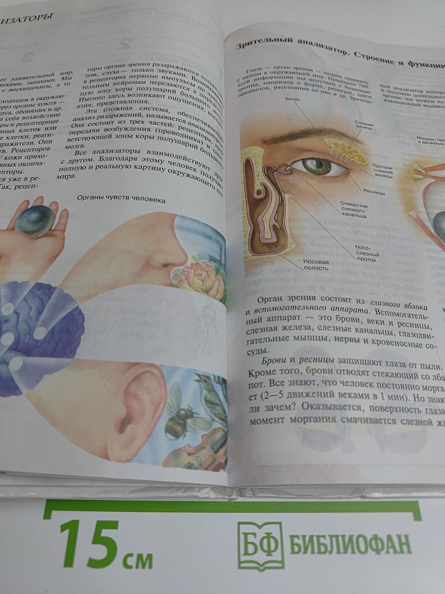 Биология. Человек. 8 класс