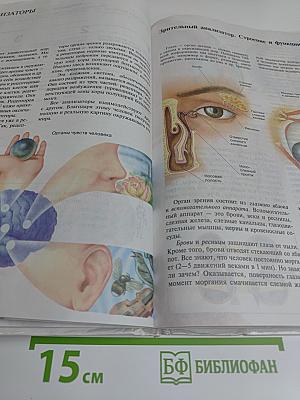Биология. Человек. 8 класс