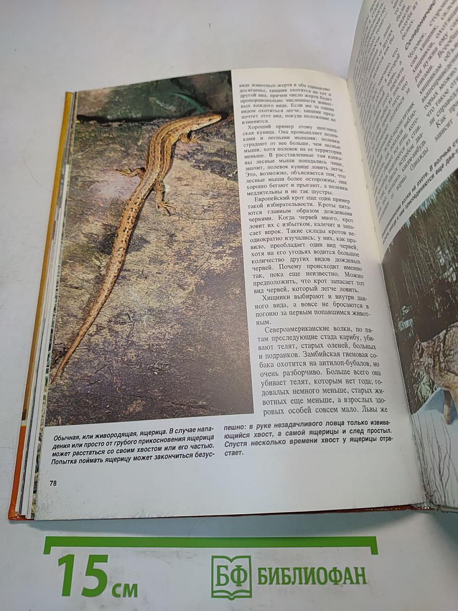 Пути природы