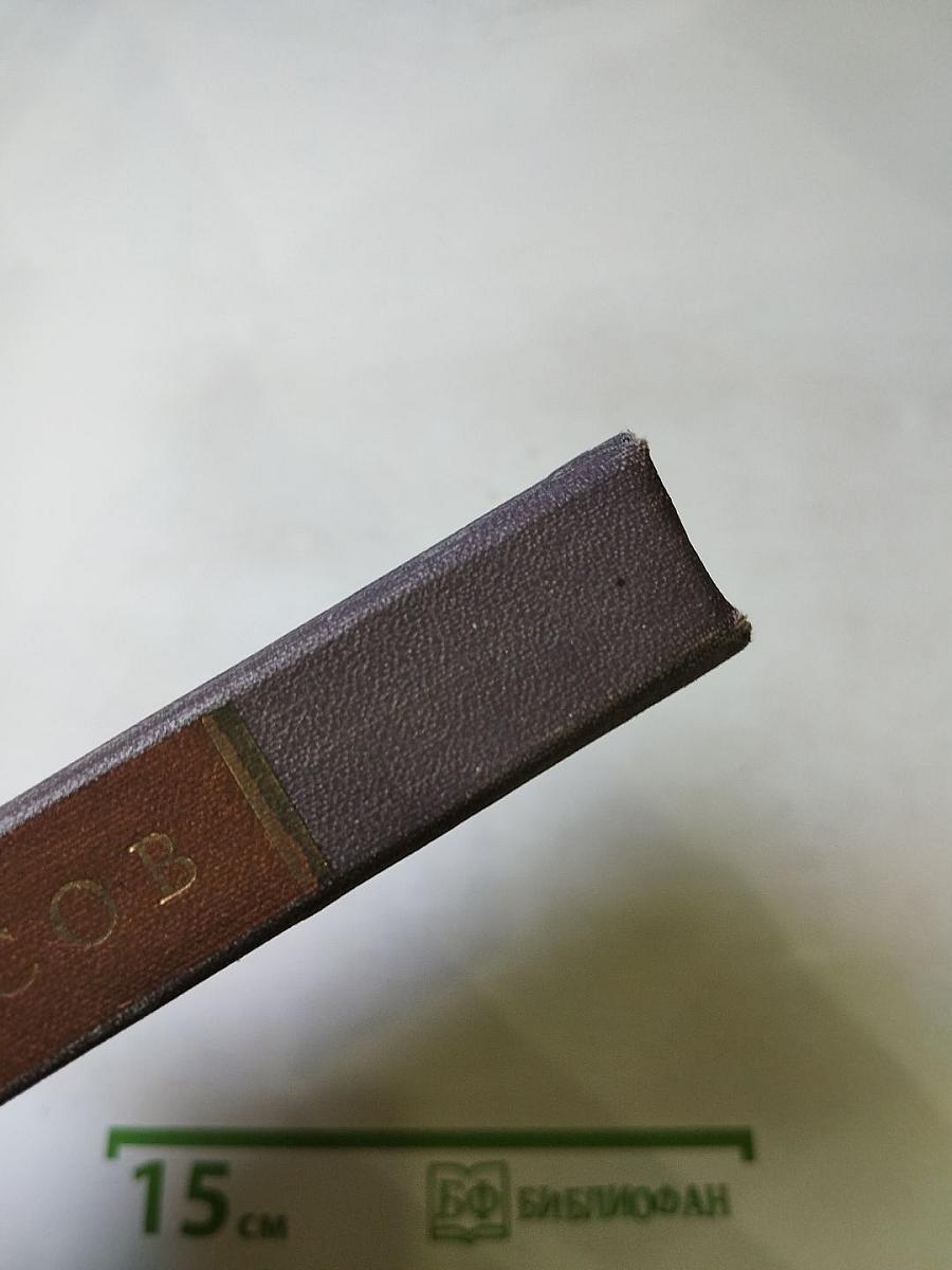 Валерий Брюсов: Стихотворения, поэмы