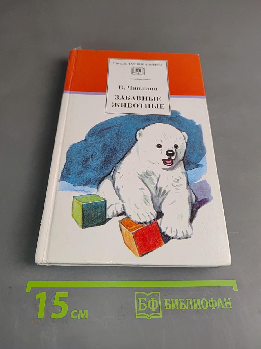 Забавные животные
