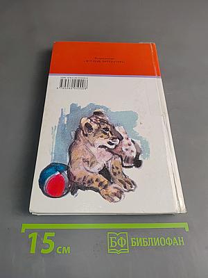 Забавные животные
