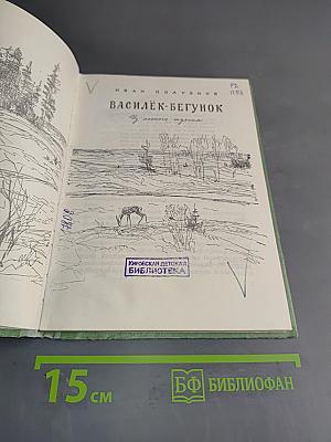 Василёк-бегунок