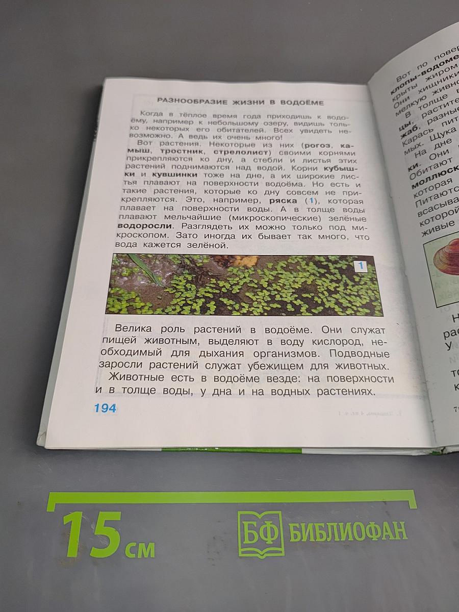 Мир вокруг нас. Учебник для 4 класса начальной школы. Часть 1