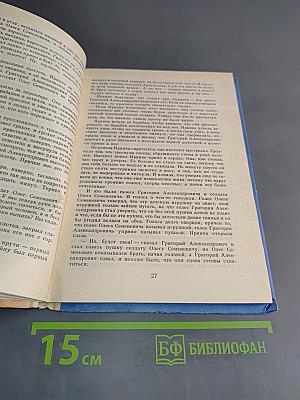 Скворец № 17