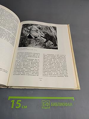 Человек и животные