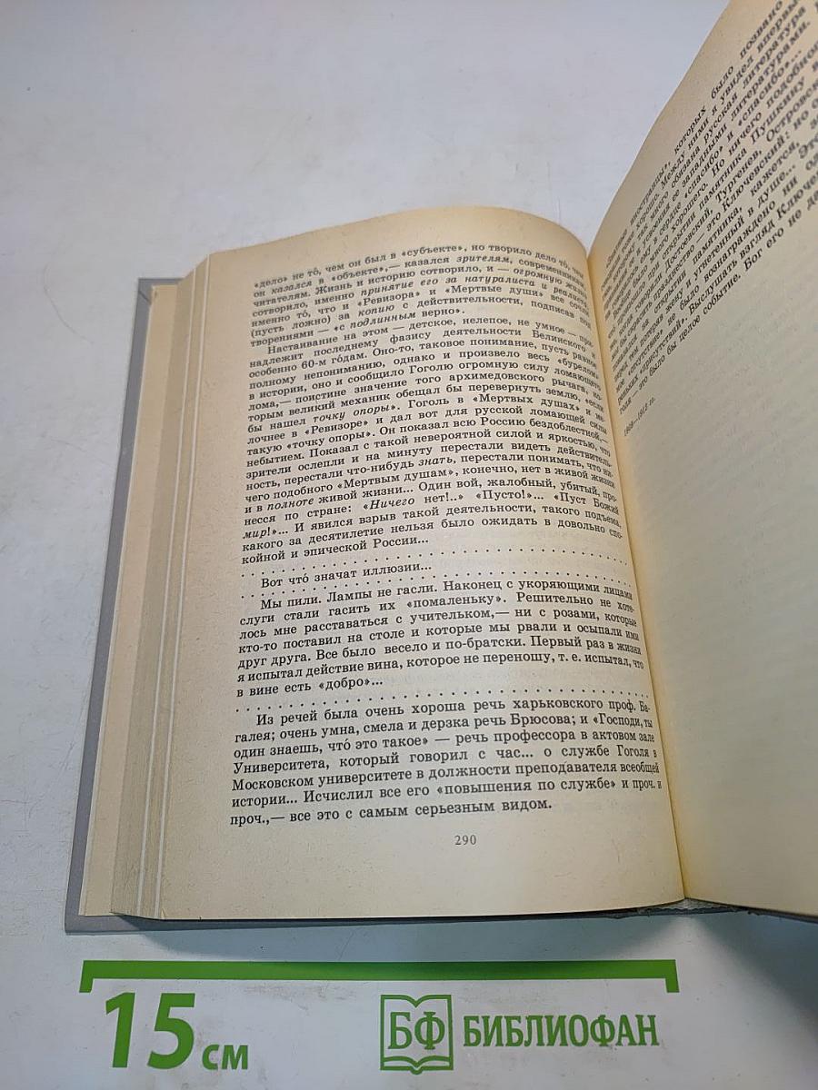 Мысли о литературе
