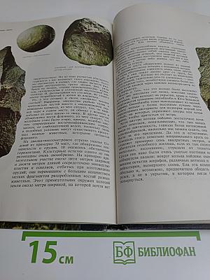 Недостающее звено. Возникновение человека