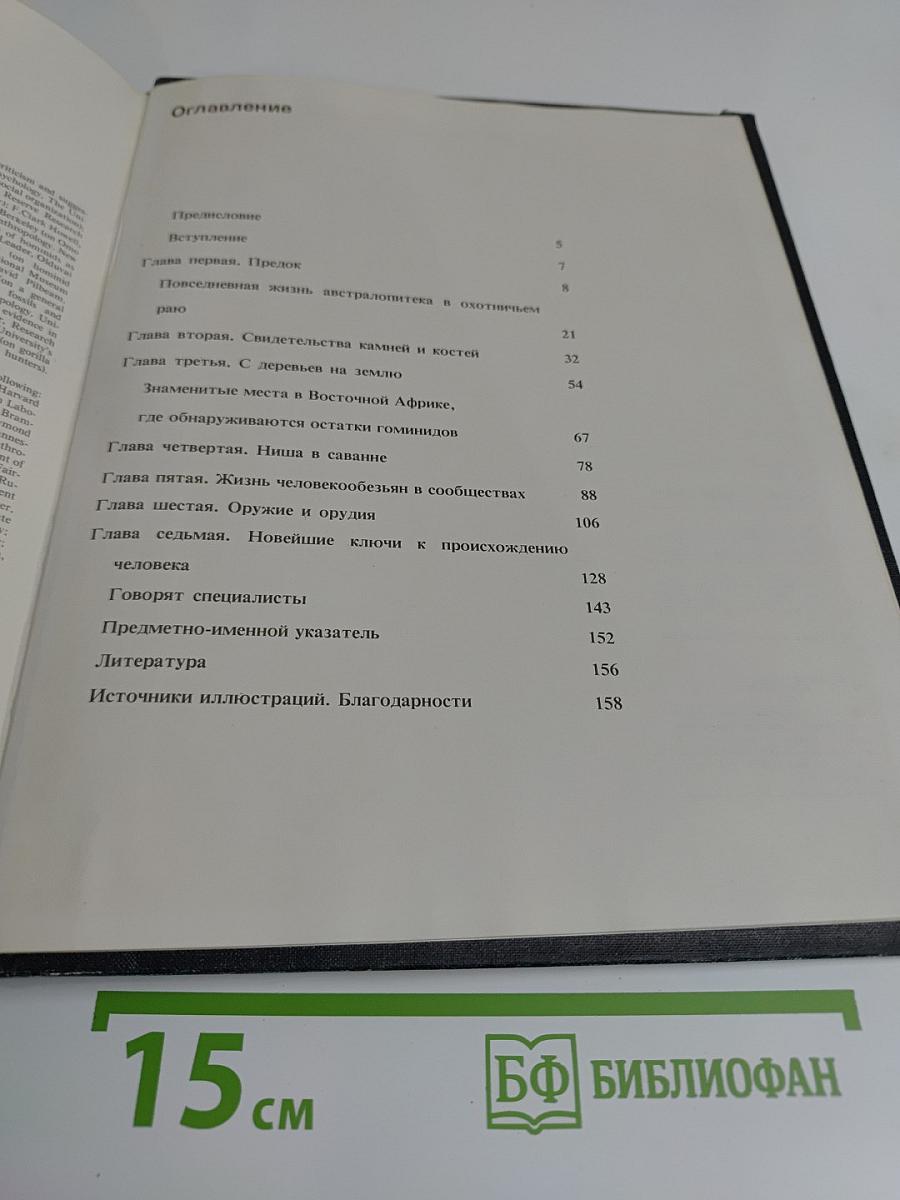 Недостающее звено. Возникновение человека
