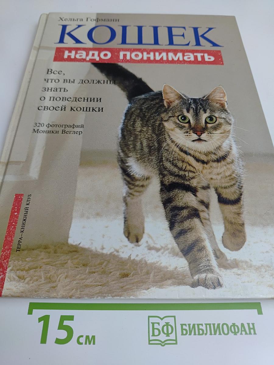 Кошек надо понимать