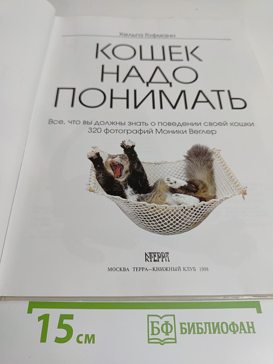 Кошек надо понимать