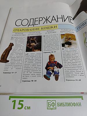 Кошек надо понимать