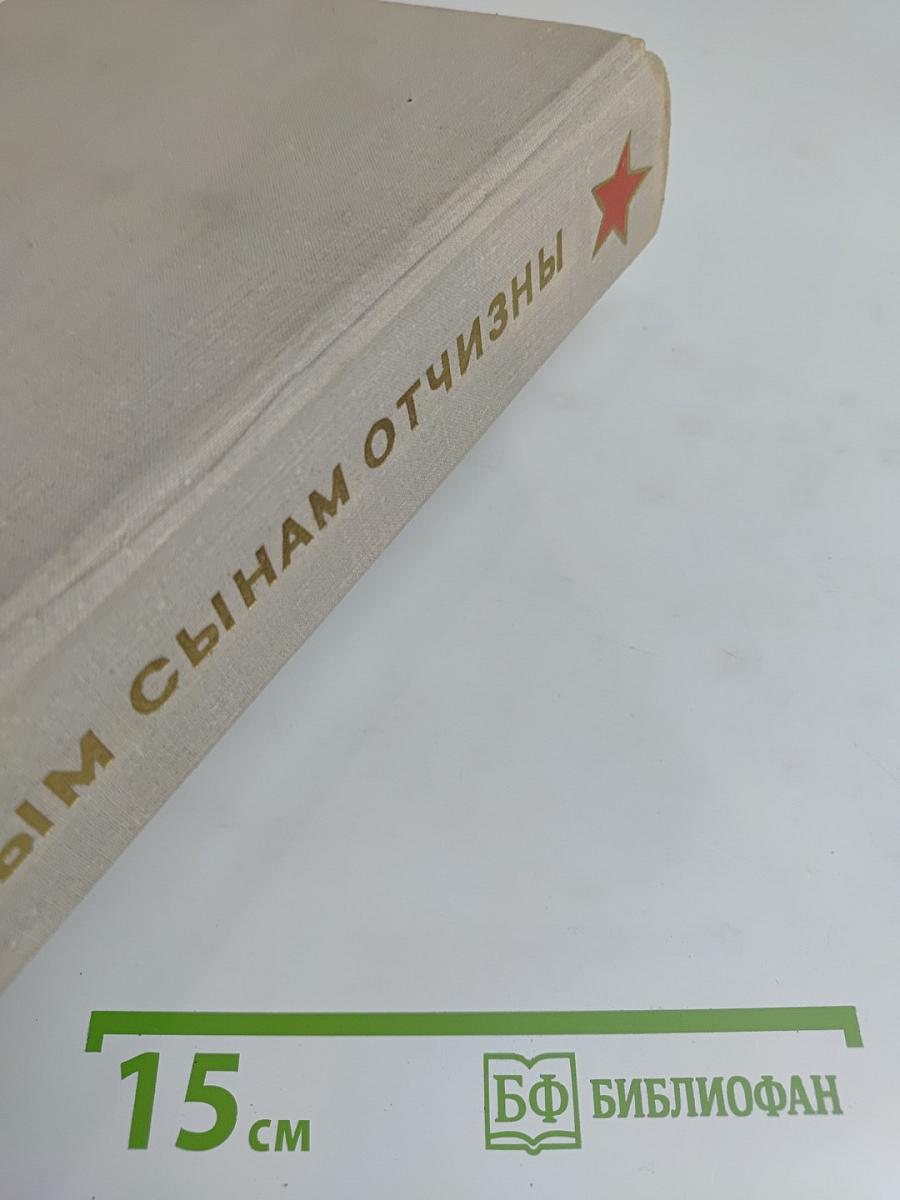 Вечным сынам Отчизны. Памятники Великой Отечественной войны