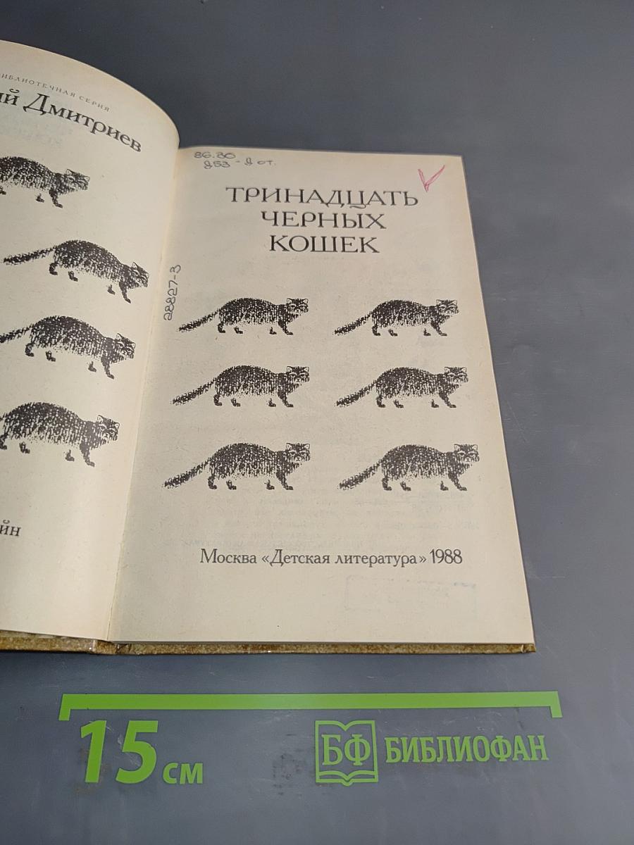 Тринадцать черных кошек