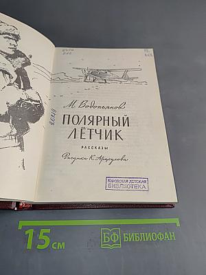 Полярный лётчик